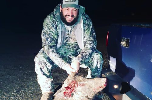 Karnes County Boar